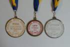 medals22_small.jpg